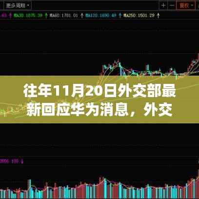 外交部关于华为的最新回应，全面解析与指南（面向初学者与进阶用户）