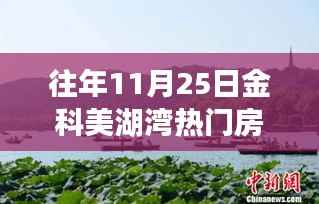 往年11月25日金科美湖湾房价探析,热门房源的市场动态与趋势分析
