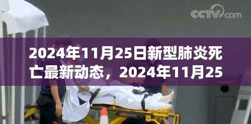 全球疫情下的严峻挑战，新型肺炎死亡最新动态与应对策略（2024年11月25日更新）