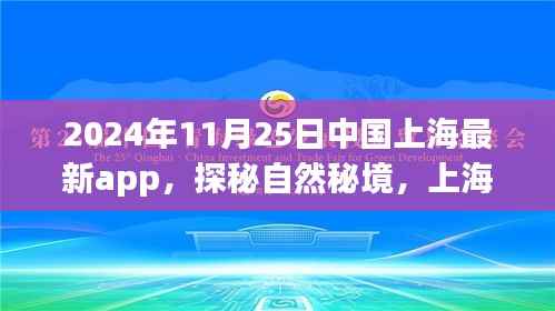 探秘自然秘境,上海最新App引领旅行新风尚,启程寻找心灵宁静之旅(2024年11月25日)