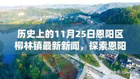 恩阳区柳林镇历史新闻回顾,探索历史上的11月25日新闻与获取新闻的步骤指南