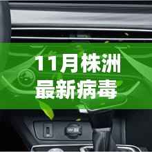 株洲新纪元病毒之下，学习之光照亮前行之路