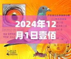 揭秘赛鸽公棚最新动态与趋势，壹佰赛鸽公棚最新消息速递（2024年12月1日）