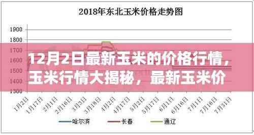 最新玉米行情大揭秘，价格走势分析与预测（12月2日更新）