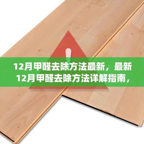 最新12月甲醛去除方法详解,高效除醛技能指南