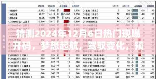 未来驾驭之旅,预测热门现场开码,梦想起航于2024年12月6日