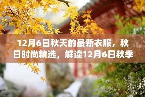 解读秋季时尚精选,12月6日最新衣物潮流趋势的秋日时尚指南
