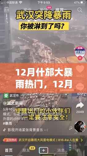 12月什邡大暴雨应对指南，极端天气下的生命安全保障