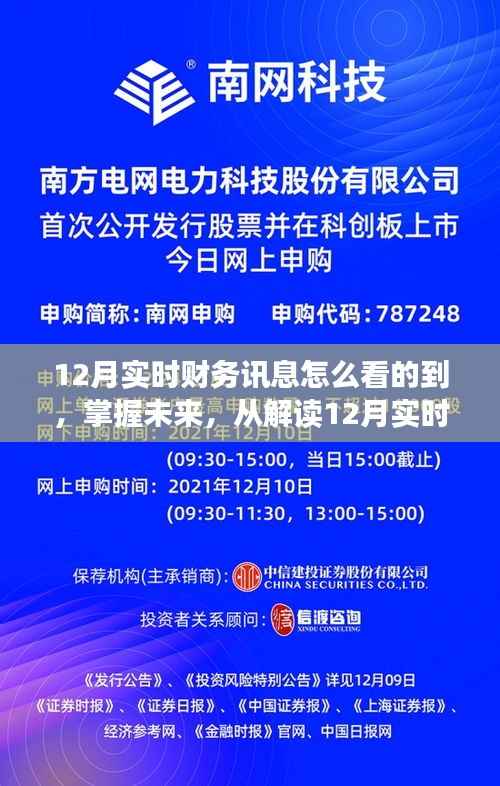 掌握未来财富之旅，解读12月实时财务讯息，跃向自信财富之路