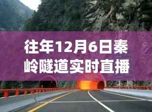 秦岭隧道探秘之旅，与自然美景的邂逅，寻找内心的宁静直播日纪实