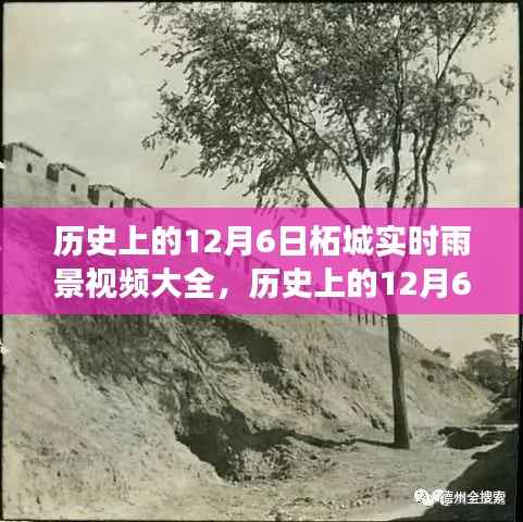 历史上的12月6日柘城雨景回顾，励志篇章中的自信成就与雨景视频大全