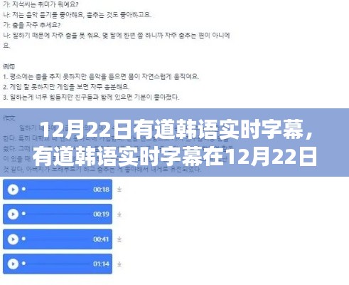 有道韩语实时字幕新功能解析，优劣分析与应用影响