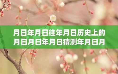 月日年月日鲜花价格查询之旅,历史与实时信息的交汇点