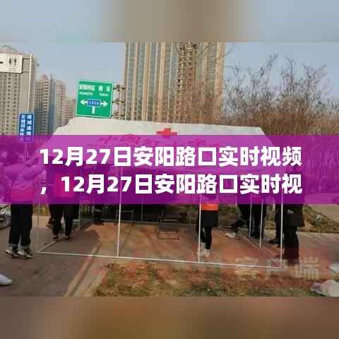 12月27日安阳路口交通实况观察与个人见解，实时视频记录分析