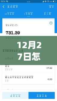 12月27日转账实时到账指南，追寻自然美景的治愈之旅