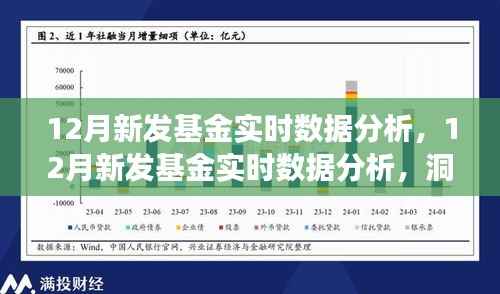 12月新发基金实时数据分析，市场趋势与投资机会洞察