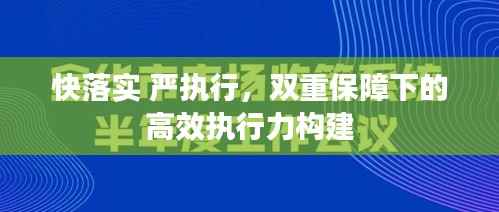 快落实 严执行，双重保障下的高效执行力构建