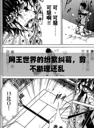 网王世界的纷繁纠葛,剪不断理还乱