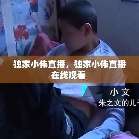 独家小伟直播，独家小伟直播在线观看 