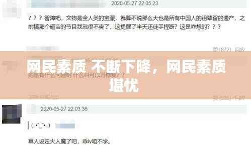 网民素质 不断下降,网民素质堪忧