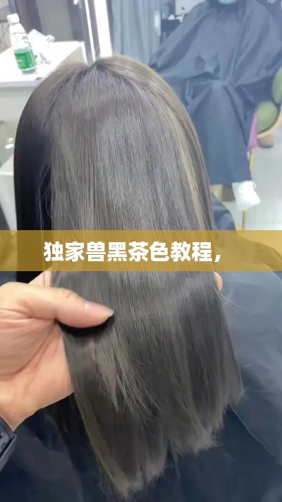 独家兽黑茶色教程,