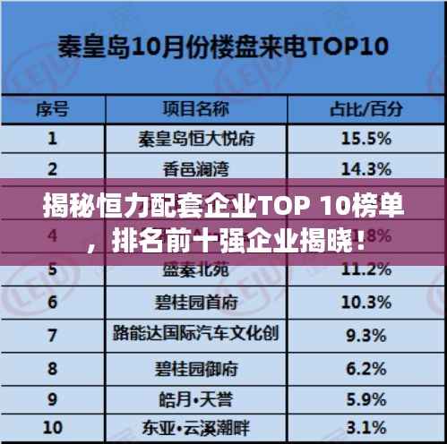 揭秘恒力配套企业TOP 10榜单，排名前十强企业揭晓！