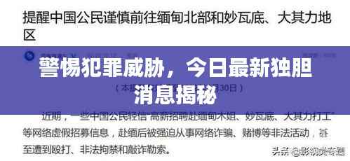 警惕犯罪威胁，今日最新独胆消息揭秘