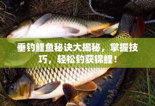 垂钓鲤鱼秘诀大揭秘,掌握技巧,轻松钓获锦鲤!