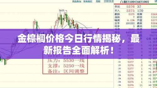 金棕榈价格今日行情揭秘，最新报告全面解析！