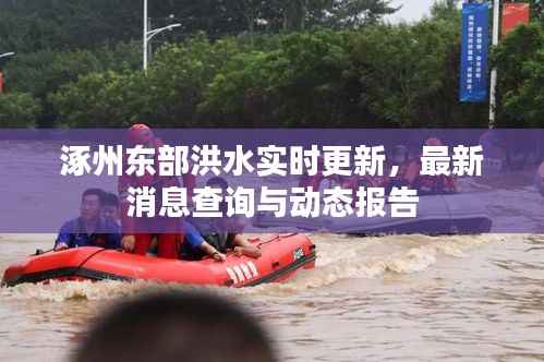 涿州东部洪水实时更新，最新消息查询与动态报告
