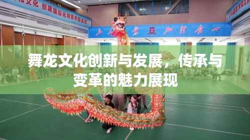 舞龙文化创新与发展,传承与变革的魅力展现