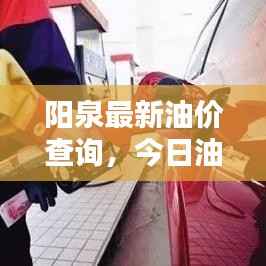 阳泉最新油价查询，今日油价动态与影响因素解析