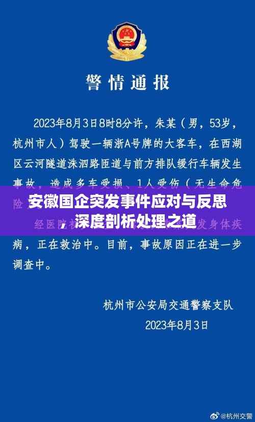 安徽国企突发事件应对与反思,深度剖析处理之道