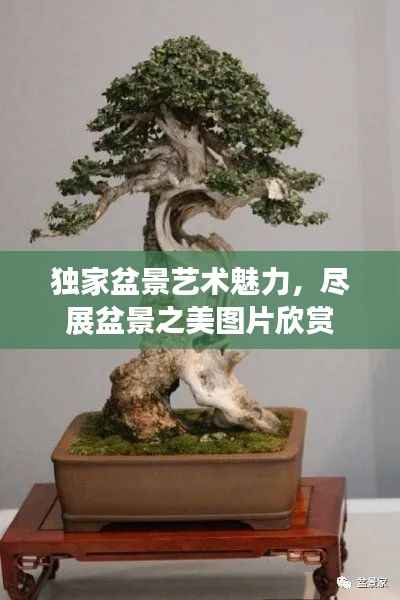 江南烟雨断桥殇 第8页