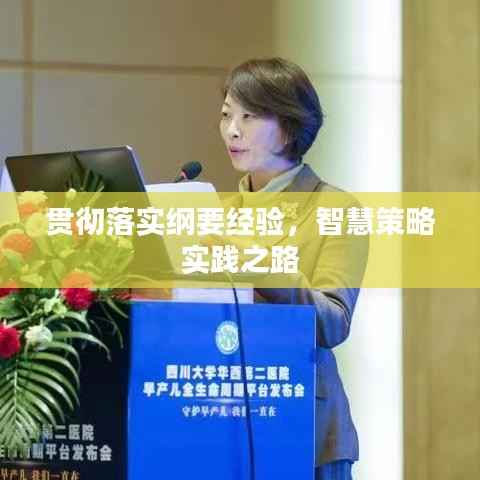 贯彻落实纲要经验，智慧策略实践之路