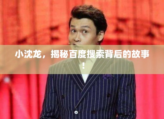 小沈龙,揭秘百度搜索背后的故事!