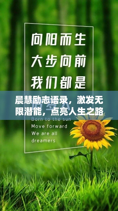 晨慧励志语录,激发无限潜能,点亮人生之路