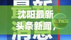 沈阳最新头条新闻，赵振洋引领城市新风向标