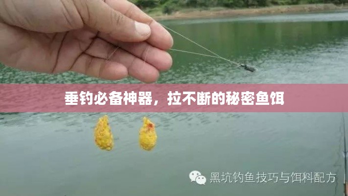 垂钓必备神器,拉不断的秘密鱼饵