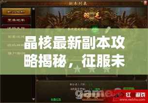 晶核最新副本攻略揭秘，征服未知领域的秘诀！