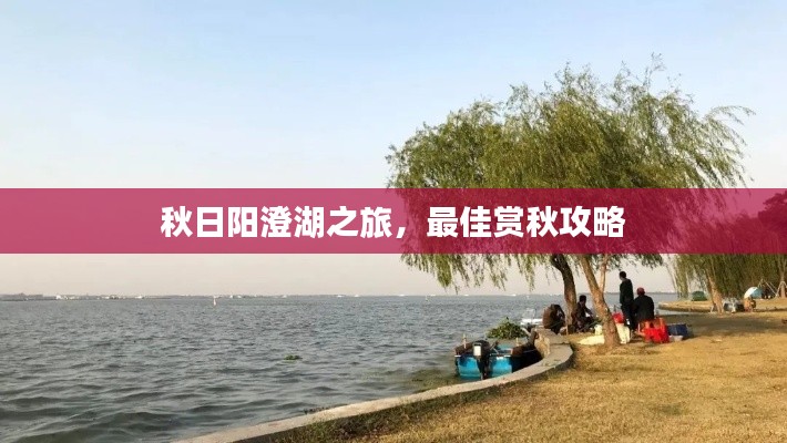 秋日阳澄湖之旅,最佳赏秋攻略