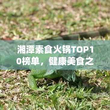 湘潭素食火锅TOP10榜单，健康美食之旅不容错过
