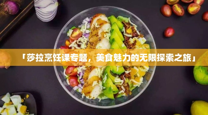 「莎拉烹饪课专题，美食魅力的无限探索之旅」