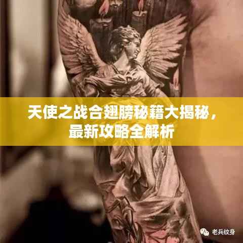 天使之战合翅膀秘籍大揭秘，最新攻略全解析
