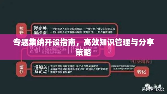 专题集纳开设指南，高效知识管理与分享策略