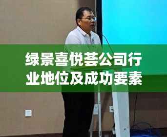 绿景喜悦荟公司行业地位及成功要素深度解析
