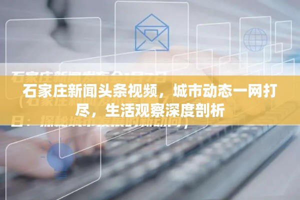 石家庄新闻头条视频，城市动态一网打尽，生活观察深度剖析