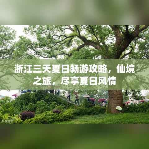 浙江三天夏日畅游攻略,仙境之旅,尽享夏日风情