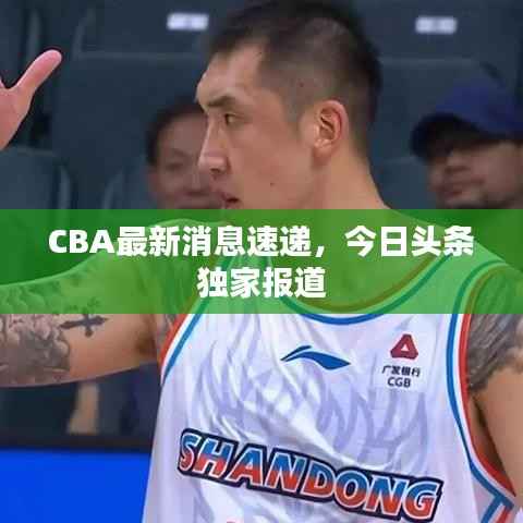 CBA最新消息速递,今日头条独家报道