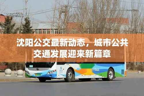 沈阳公交最新动态,城市公共交通发展迎来新篇章